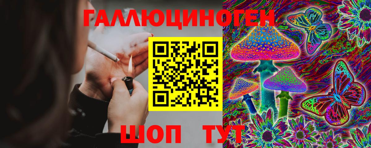 Псилоцибиновые грибы Psilocybine cubensis Белая Калитва
